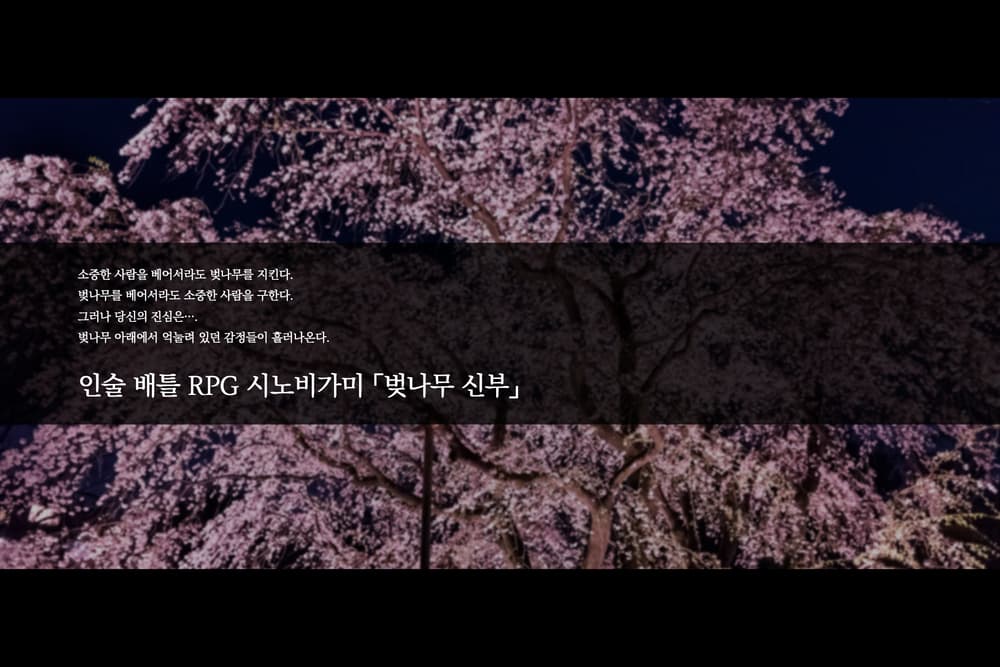「벚나무 신부」